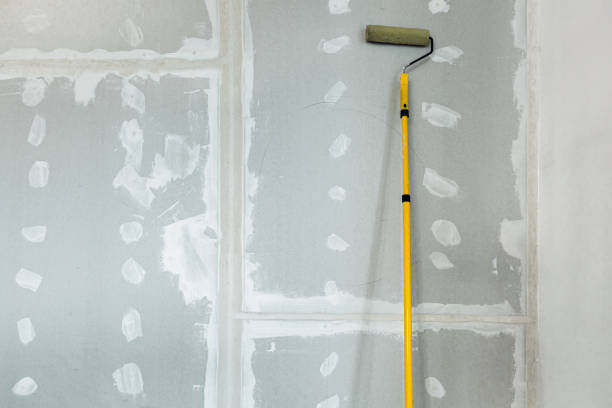 Best Drywall for Remodeling  in Ashland, IL